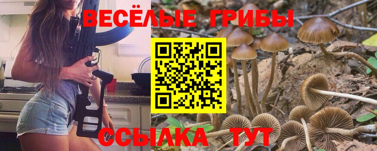 Псилоцибиновые грибы MAGIC MUSHROOMS  Вход с VPN  Самара 