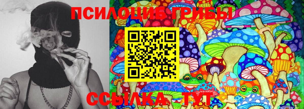 Галлюциногенные грибы мухоморы Самара